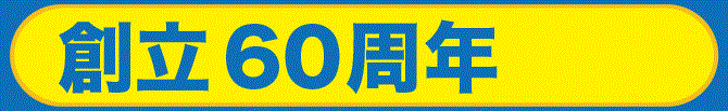 ݗ60N